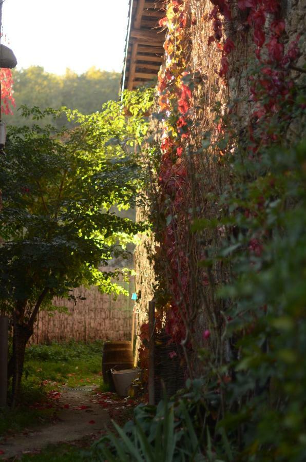 Torre Tanquian Eco Finca - Ribeira Sacra Panton Exterior photo
